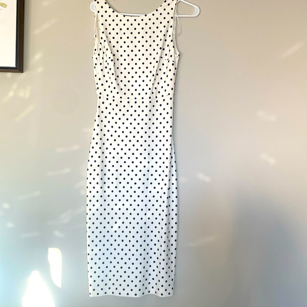 Slim fit Zara dress, very elegant and timeless